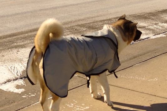 The Rock Line: Rain Coat