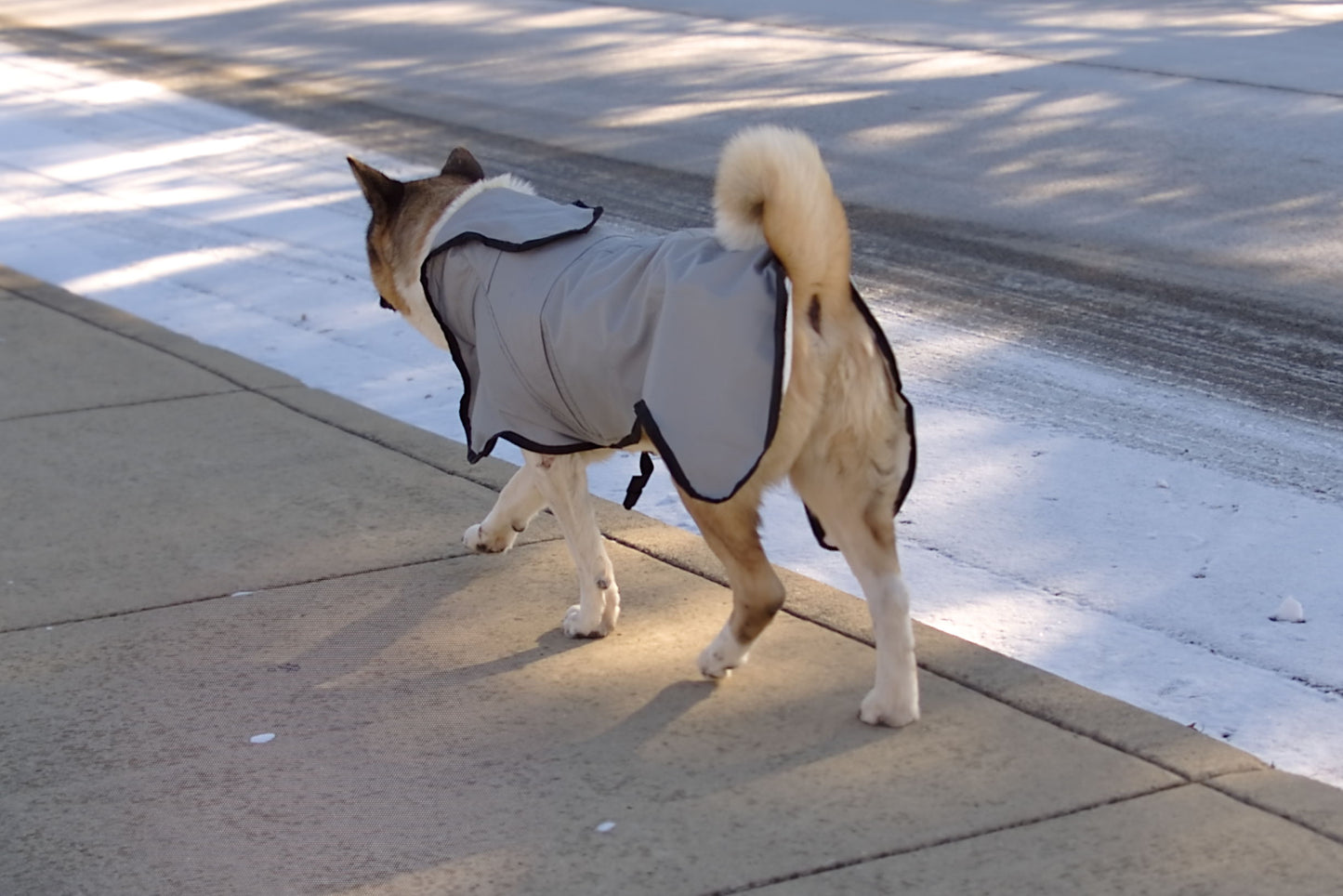 The Rock Line: Rain Coat