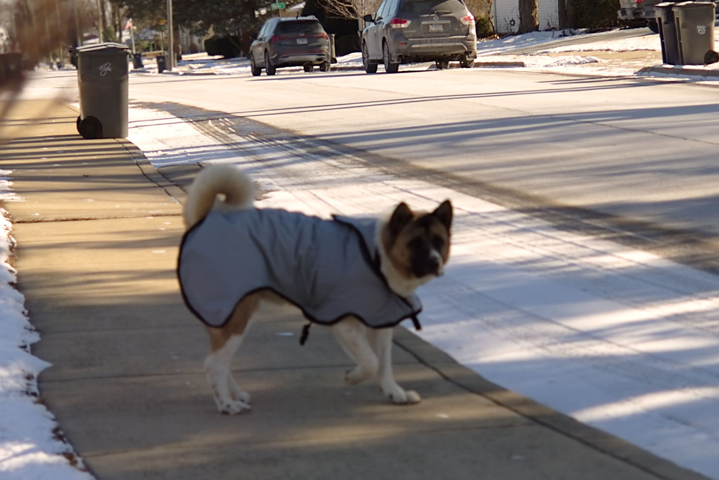 The Rock Line: Rain Coat
