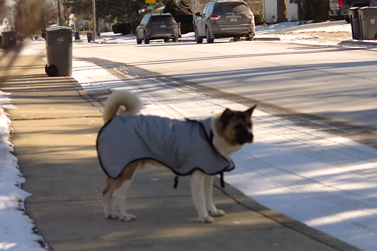 The Rock Line: Rain Coat