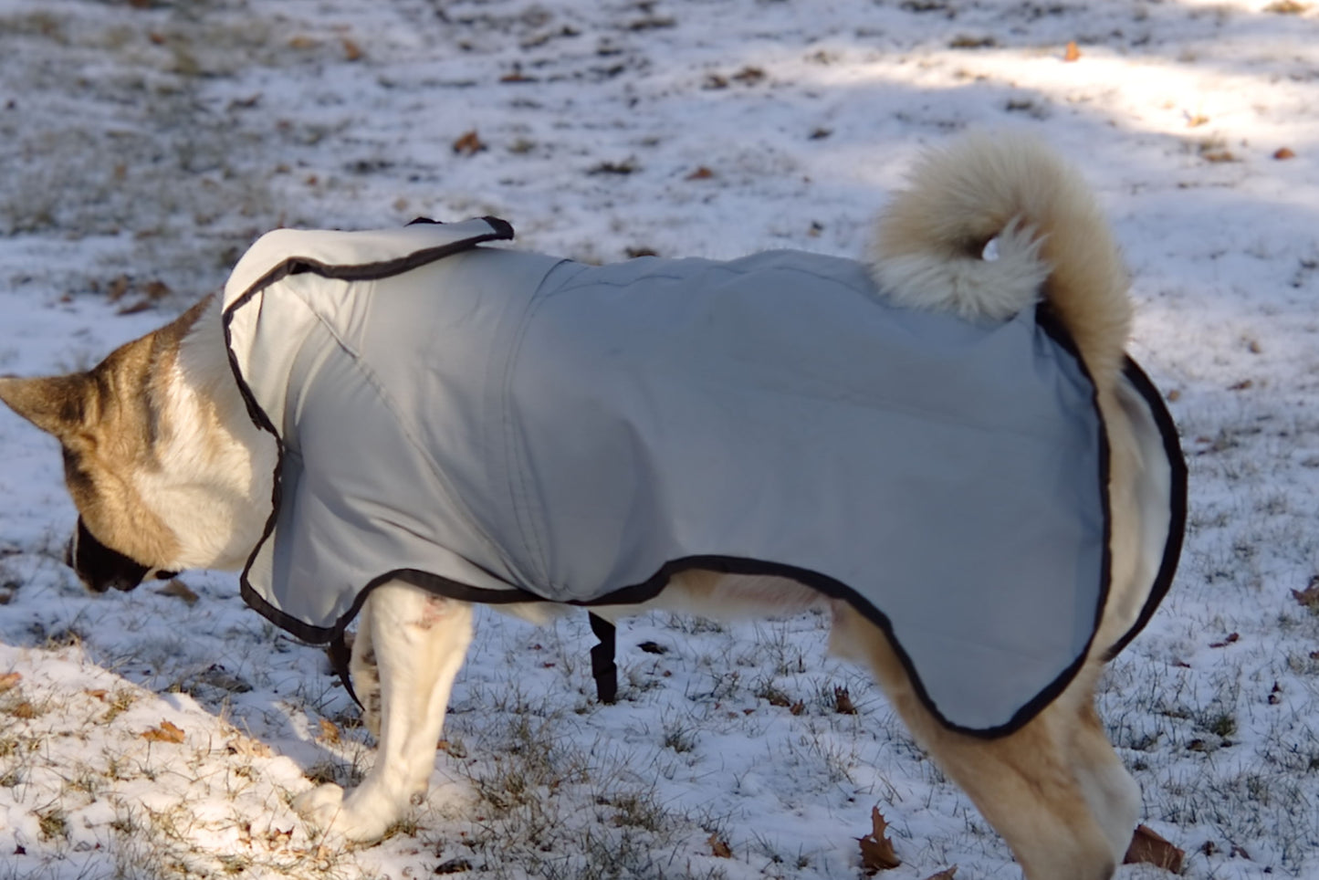 The Rock Line: Rain Coat