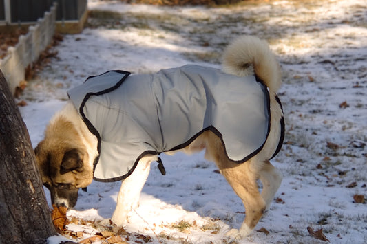 The Rock Line: Rain Coat