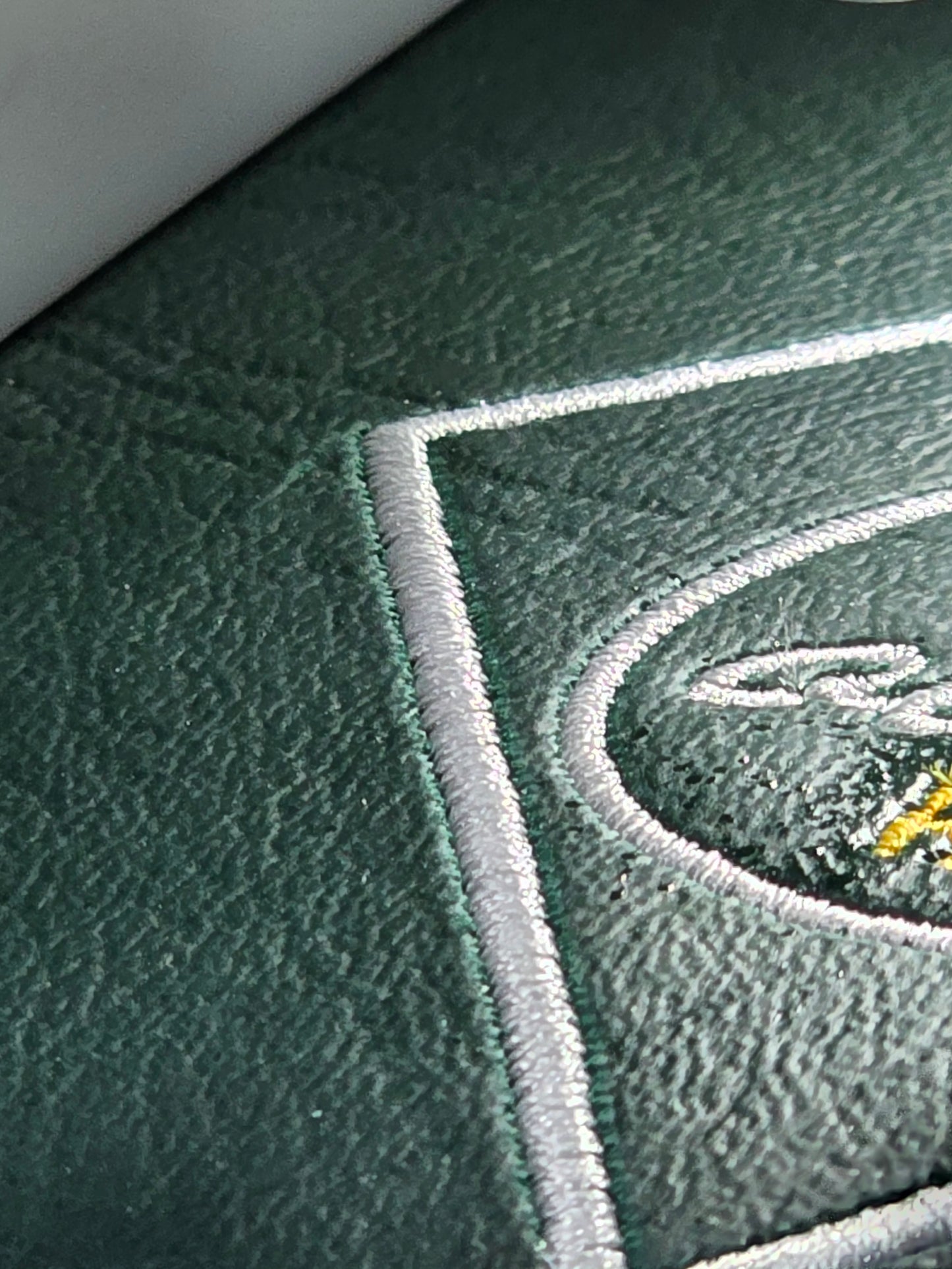 The Money Bag (Green)